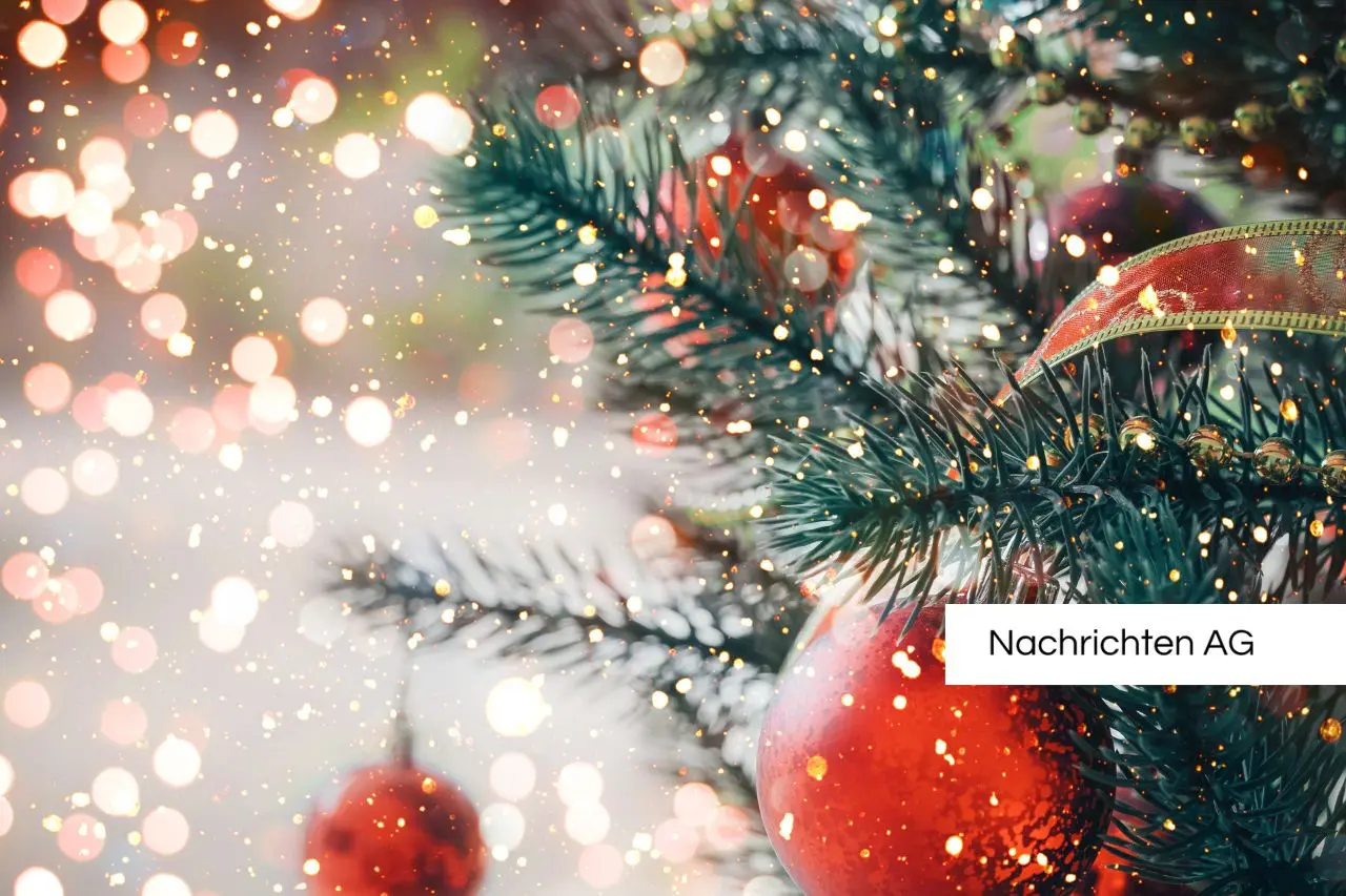 Sicherheitsversagen in Magdeburg: Fragen nach dem Weihnachtsmarkt-Anschlag!